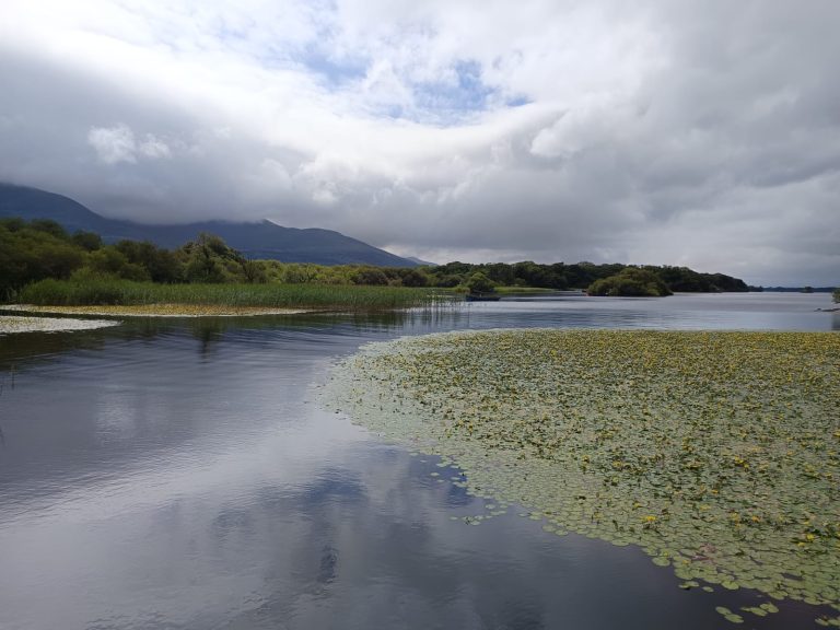 Read more about the article Killarney July 26